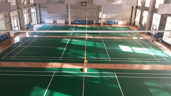 專注品質(zhì)，服務運動——北京達森運動木地板有限責任公司